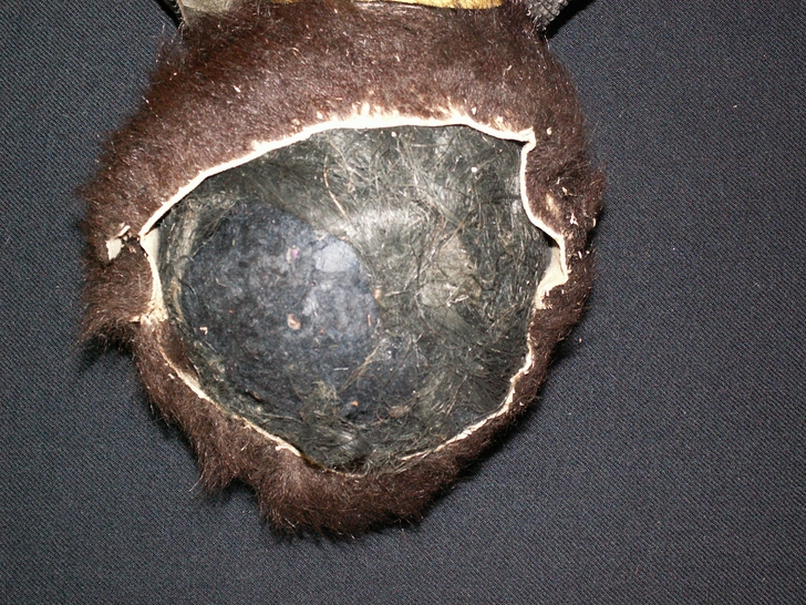 Testa dopo il restauro